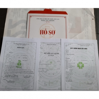 Combo 10 bộ hồ sơ xin việc 