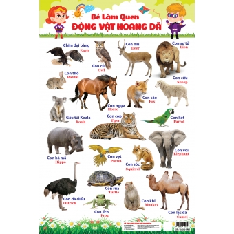 Bé làm quen động vật hoang dã&nbsp;