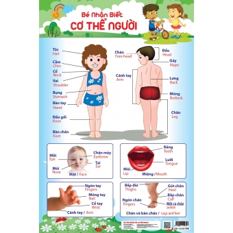 Bé nhận biết cơ thể người&nbsp;