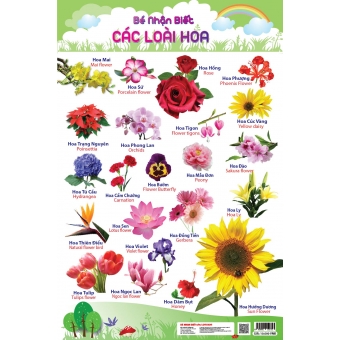 Bé nhận biết các loài hoa&nbsp;