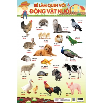 Bé làm quen với động vật nuôi&nbsp;