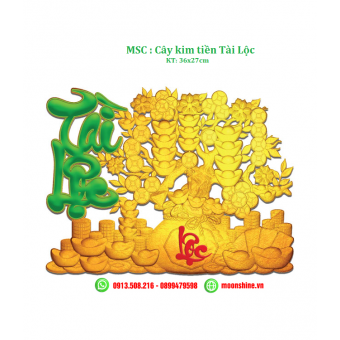 MSC - CÂY KIM TIỀN TÀI LỘC